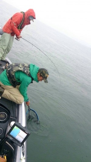 hideup 横山直人 ブログ写真 2013/11/10