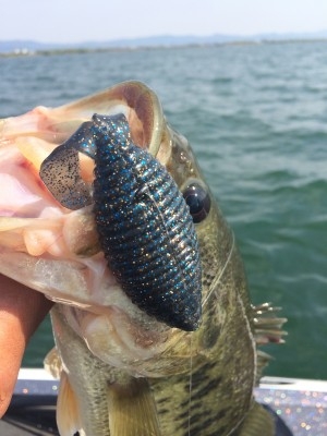 hideup 横山直人 ブログ写真 2015/05/01