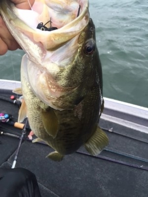 hideup 横山直人 ブログ写真 2015/04/05
