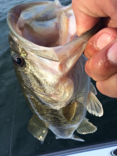 hideup 讓ｪ螻ｱ逶ｴ莠ｺ 繝悶Ο繧ｰ蜀咏悄 2014/05/13