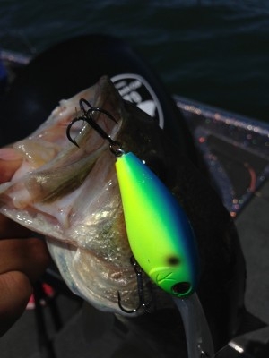 hideup 横山直人 ブログ写真 2015/08/13