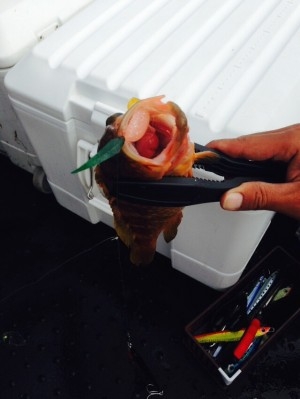 hideup 横山直人 ブログ写真 2015/08/18