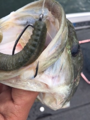 hideup 横山直人 ブログ写真 2015/05/17