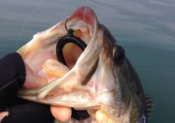 hideup 讓ｪ螻ｱ逶ｴ莠ｺ 繝悶Ο繧ｰ蜀咏悄 2014/03/17