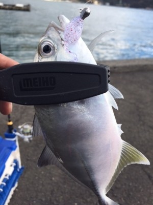 hideup 横山直人 ブログ写真 2015/12/17