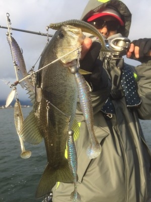 hideup 讓ｪ螻ｱ逶ｴ莠ｺ 繝悶Ο繧ｰ蜀咏悄 2016/12/11