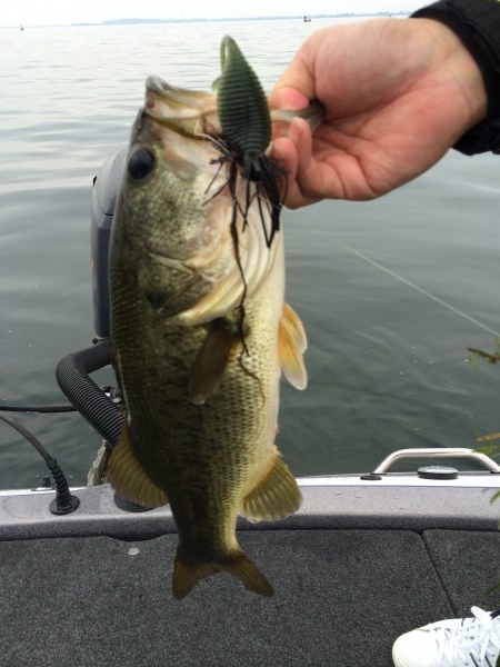 hideup 讓ｪ螻ｱ逶ｴ莠ｺ 繝悶Ο繧ｰ蜀咏悄 2014/07/14