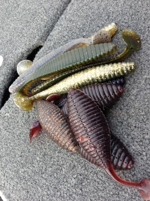 hideup 横山直人 ブログ写真 2015/02/18