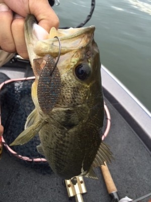 hideup 讓ｪ螻ｱ逶ｴ莠ｺ 繝悶Ο繧ｰ蜀咏悄 2015/05/04