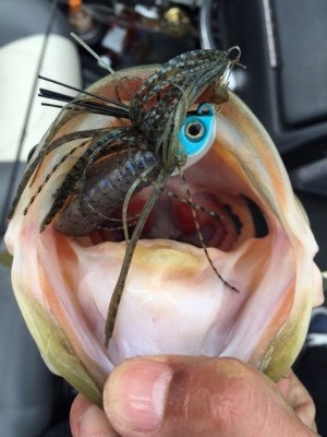 hideup 横山直人 ブログ写真 2015/03/15