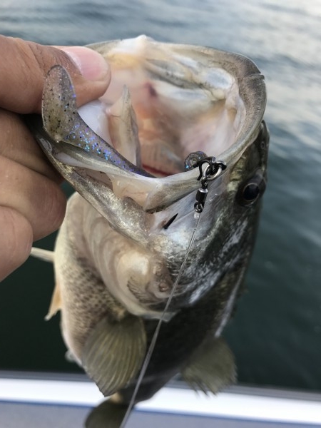 hideup 横山直人 ブログ写真 2017/04/30