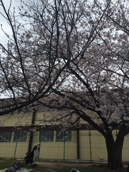 hideup 讓ｪ螻ｱ逶ｴ莠ｺ 繝悶Ο繧ｰ蜀咏悄 2016/04/04