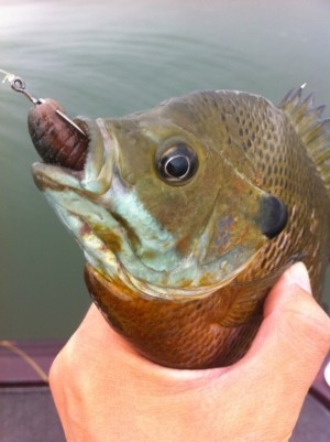 hideup 横山直人 ブログ写真 2014/02/20