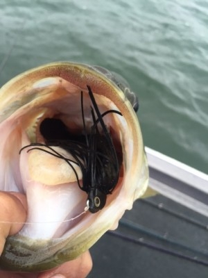 hideup 横山直人 ブログ写真 2015/04/05