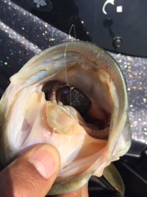 hideup 横山直人 ブログ写真 2015/04/18