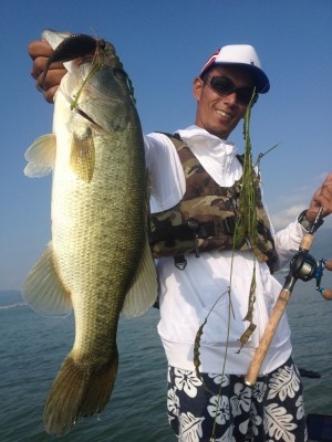 hideup 讓ｪ螻ｱ逶ｴ莠ｺ 繝悶Ο繧ｰ蜀咏悄 2014/06/03