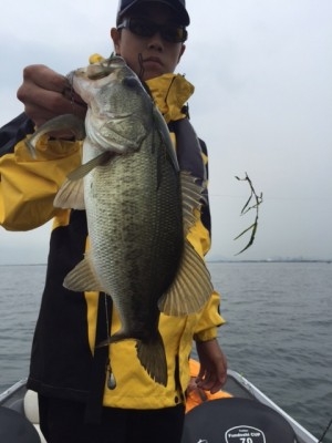 hideup 横山直人 ブログ写真 2015/07/04