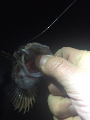 hideup 横山直人 ブログ写真 2015/01/21