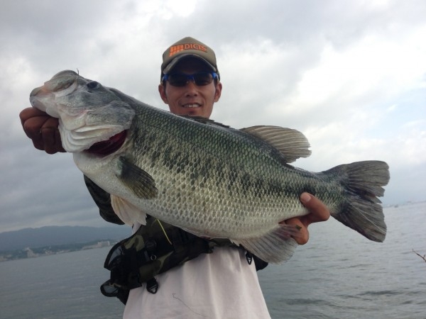 hideup 横山直人 ブログ写真 2013/07/07