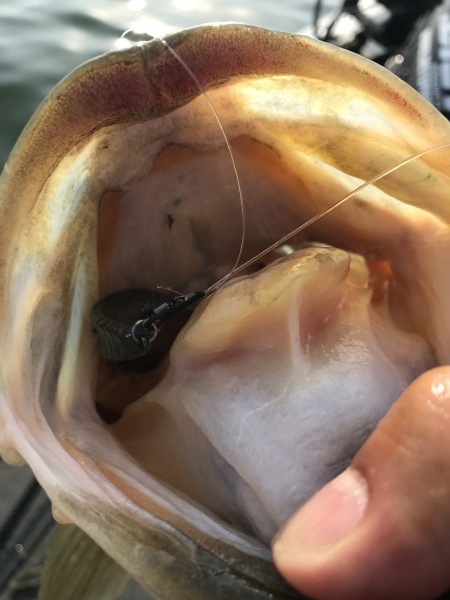 hideup 横山直人 ブログ写真 2017/04/30