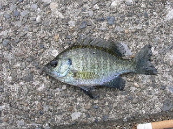 hideup 横山直人 ブログ写真 2014/07/02