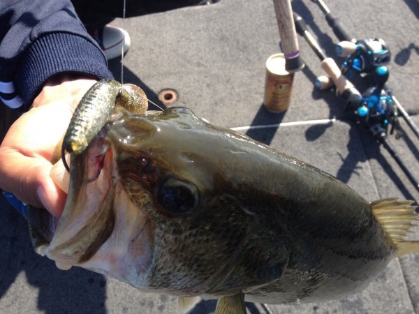 hideup 讓ｪ螻ｱ逶ｴ莠ｺ 繝悶Ο繧ｰ蜀咏悄 2014/05/18