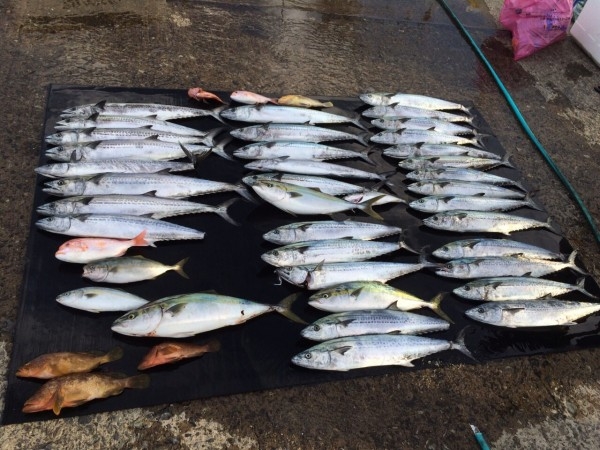 hideup 讓ｪ螻ｱ逶ｴ莠ｺ 繝悶Ο繧ｰ蜀咏悄 2015/08/18