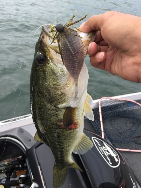 hideup 讓ｪ螻ｱ逶ｴ莠ｺ 繝悶Ο繧ｰ蜀咏悄 2015/06/05