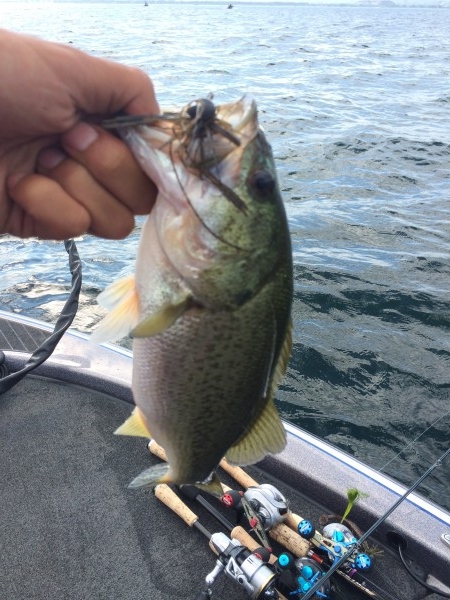 hideup 讓ｪ螻ｱ逶ｴ莠ｺ 繝悶Ο繧ｰ蜀咏悄 2014/07/06