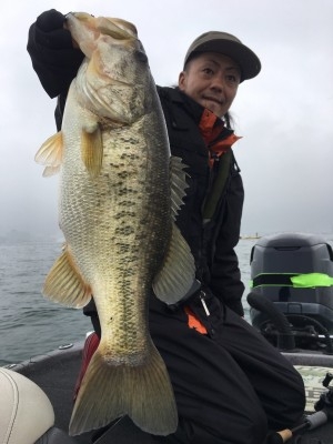 hideup 横山直人 ブログ写真 2017/04/08