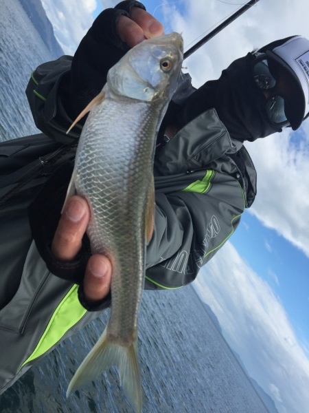 hideup 横山直人 ブログ写真 2015/11/03