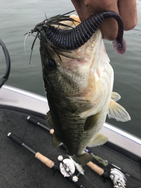 hideup 横山直人 ブログ写真 2017/07/09