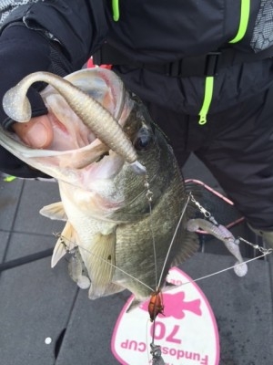 hideup 横山直人 ブログ写真 2014/11/08