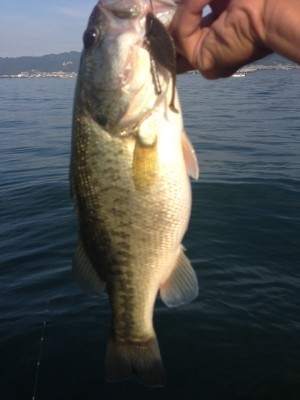 hideup 横山直人 ブログ写真 2015/08/06