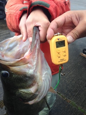 hideup 横山直人 ブログ写真 2013/11/10