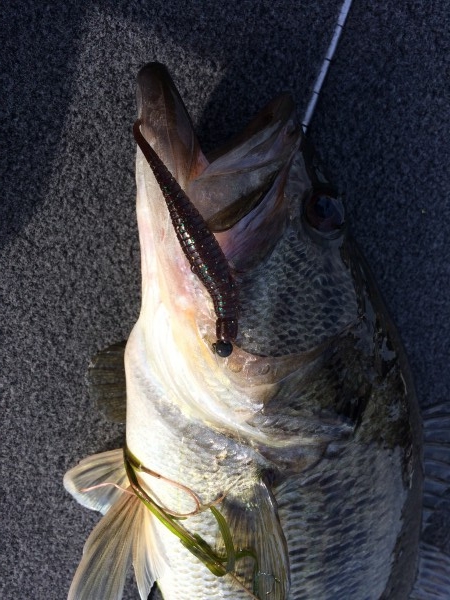 hideup 讓ｪ螻ｱ逶ｴ莠ｺ 繝悶Ο繧ｰ蜀咏悄 2014/05/04