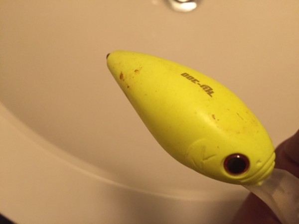 hideup 横山直人 ブログ写真 2015/11/04