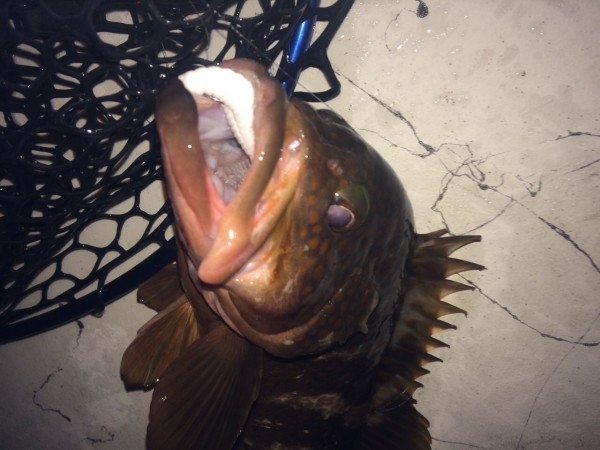 hideup 横山直人 ブログ写真 2015/05/24