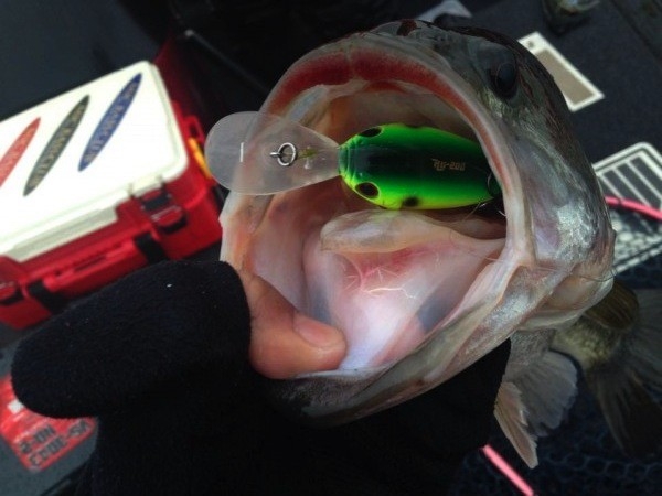 hideup 横山直人 ブログ写真 2015/03/08