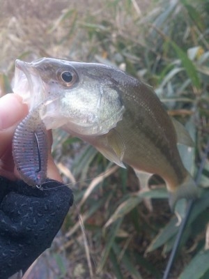 hideup 讓ｪ螻ｱ逶ｴ莠ｺ 繝悶Ο繧ｰ蜀咏悄 2014/12/04