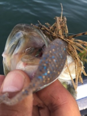 hideup 横山直人 ブログ写真 2015/07/12