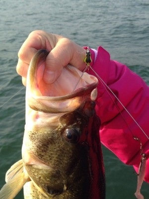 hideup 讓ｪ螻ｱ逶ｴ莠ｺ 繝悶Ο繧ｰ蜀咏悄 2014/03/17