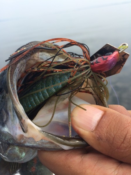 hideup 讓ｪ螻ｱ逶ｴ莠ｺ 繝悶Ο繧ｰ蜀咏悄 2014/09/11