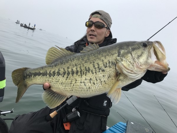 hideup 横山直人 ブログ写真 2017/04/08