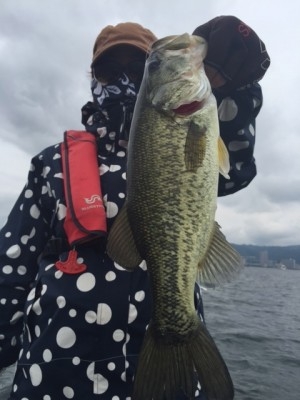 hideup 横山直人 ブログ写真 2015/05/17