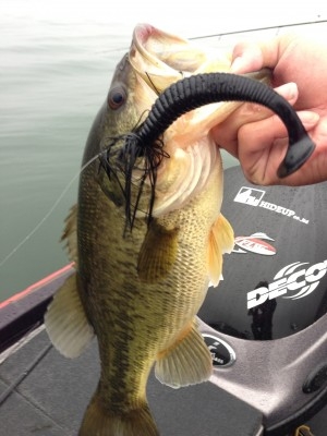 hideup 讓ｪ螻ｱ逶ｴ莠ｺ 繝悶Ο繧ｰ蜀咏悄 2015/03/24