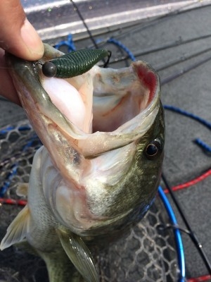 hideup 讓ｪ螻ｱ逶ｴ莠ｺ 繝悶Ο繧ｰ蜀咏悄 2014/04/15