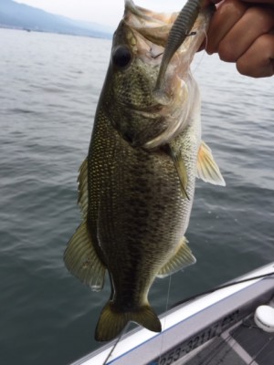 hideup 横山直人 ブログ写真 2015/05/24