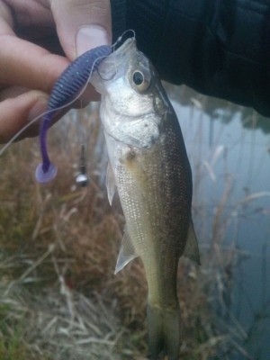 hideup 横山直人 ブログ写真 2014/11/18