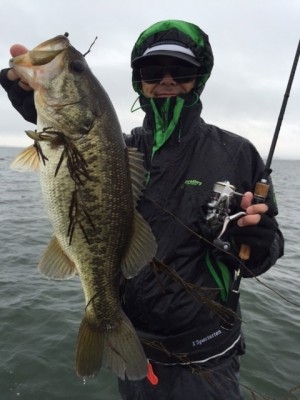 hideup 横山直人 ブログ写真 2015/04/05